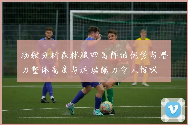 杨毅分析森林狼四高阵的优势与潜力整体高度与运动能力令人惊叹