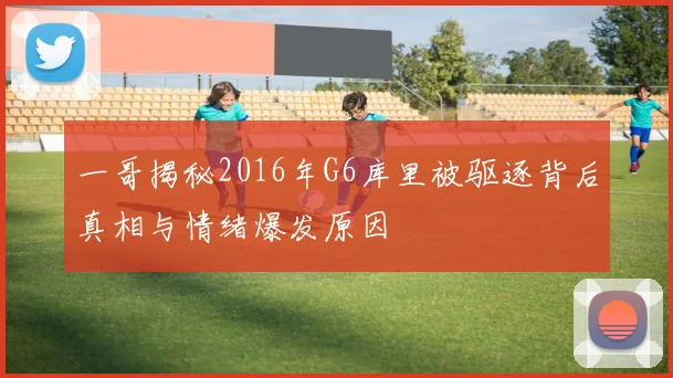 一哥揭秘2016年G6库里被驱逐背后真相与情绪爆发原因